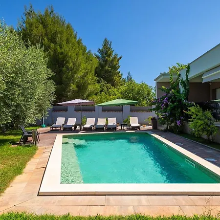 Villa Dila By Guide