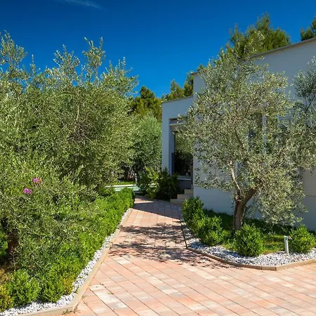 Villa Dila By Guide
